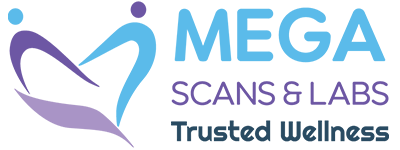 Mega-Scans-and-Labs-Logo
