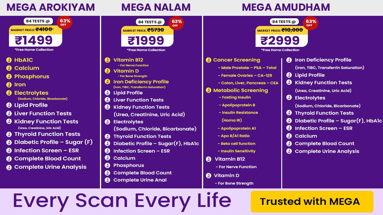 Mega-Scans-and-Labs-Packages-Banner